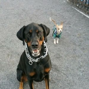 Meet your Posher, Kathy